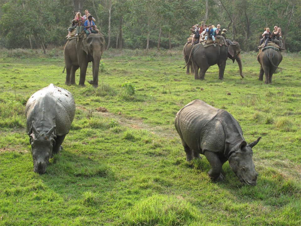 2 Nights 3 Days Chitwan Tour