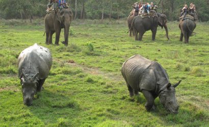 Chitwan Jungle Safari in Nepal