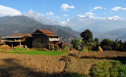 Dhampus Trekking