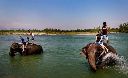 Jungle Safari in Nepal