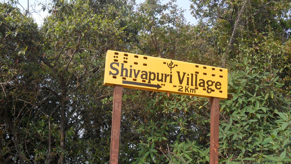 Shivapuri Trekking