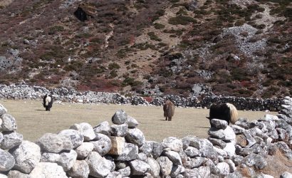 Luxury Everest Base Camp Trekking