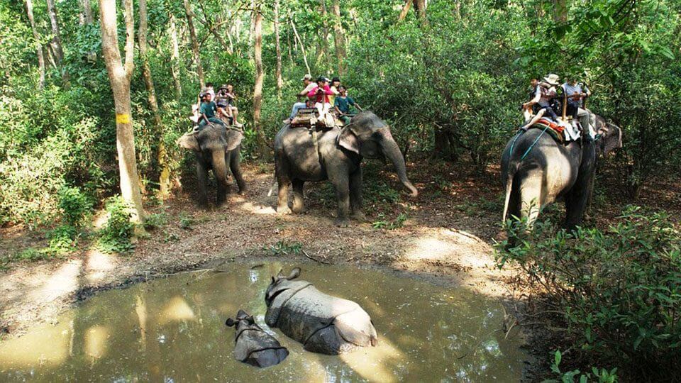 Chitwan National Park