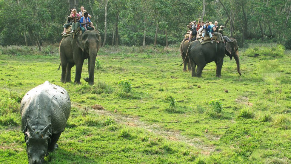 Wildlife Tour in nepal