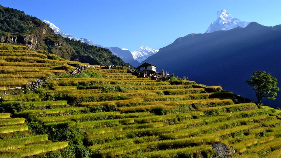 Annapurna Massif Views